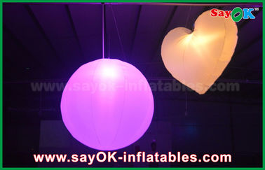 Reuze van de de Verlichtingsdecoratie van het Bloemhuwelijk Opblaasbare Lichte de Bal Opblaasbare Ballon