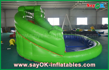 Opblaasbare bounce glijbaan gigantische opblaasbare bouncer glijbaan voor arme, volwassen kinderen kikker bouncy kasteel