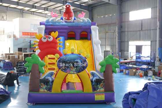 Op maat gedrukte opblaasbare droge glijbaan met bouncy kasteel ontwerp voor kinderen evenementen