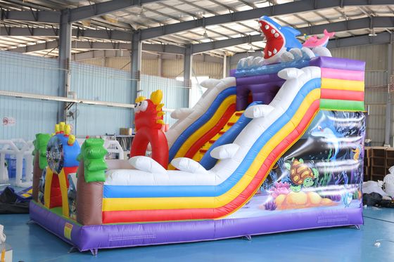 Op maat gedrukte opblaasbare droge glijbaan met bouncy kasteel ontwerp voor kinderen evenementen